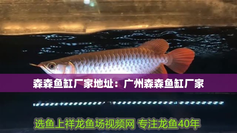 森森魚缸廠家地址：廣州森森魚缸廠家 森森魚缸廠家地址：廣州森森魚缸廠家 魚缸百科
