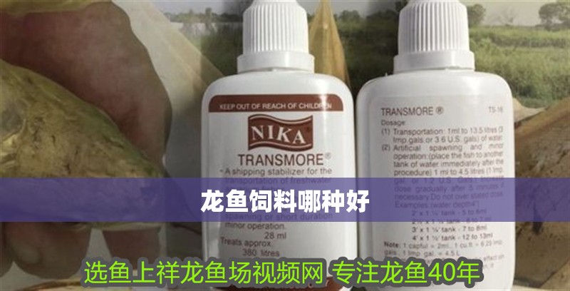 龍魚飼料哪種好