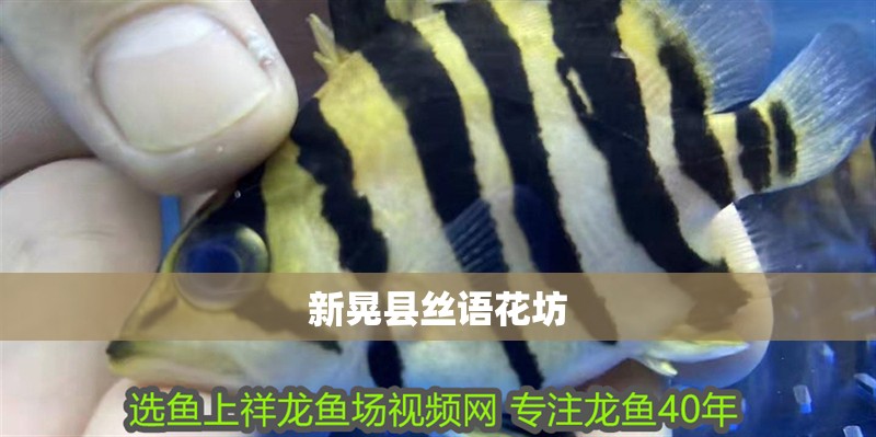 新晃縣絲語花坊