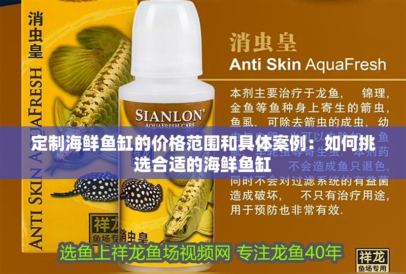 定制海鮮魚缸的價格范圍和具體案例：如何挑選合適的海鮮魚缸