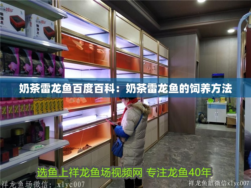 奶茶雷龍魚百度百科：奶茶雷龍魚的飼養方法