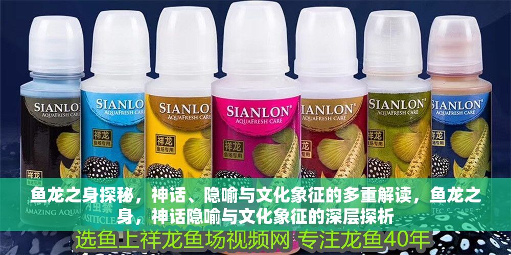 魚龍之身探秘，神話、隱喻與文化象征的多重解讀，魚龍之身，神話隱喻與文化象征的深層探析