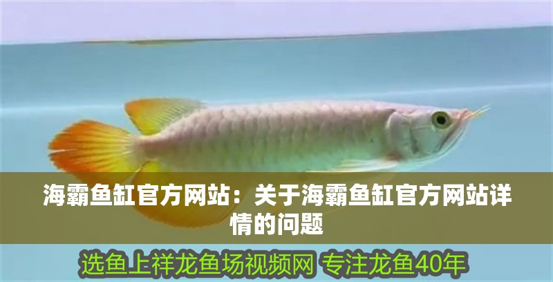 海霸魚(yú)缸官方網(wǎng)站：關(guān)于海霸魚(yú)缸官方網(wǎng)站詳情的問(wèn)題 海霸魚(yú)缸官方網(wǎng)站：關(guān)于海霸魚(yú)缸官方網(wǎng)站詳情的問(wèn)題 魚(yú)缸百科