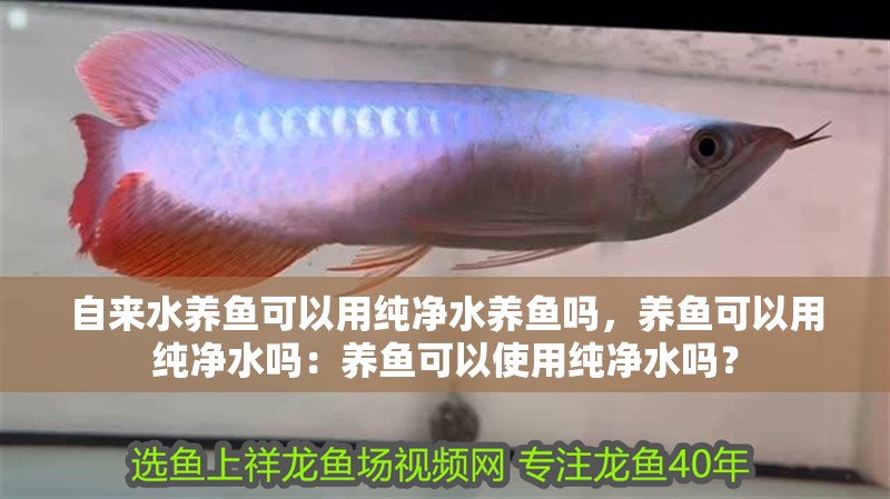自來水養魚可以用純凈水養魚嗎，養魚可以用純凈水嗎：養魚可以使用純凈水嗎？