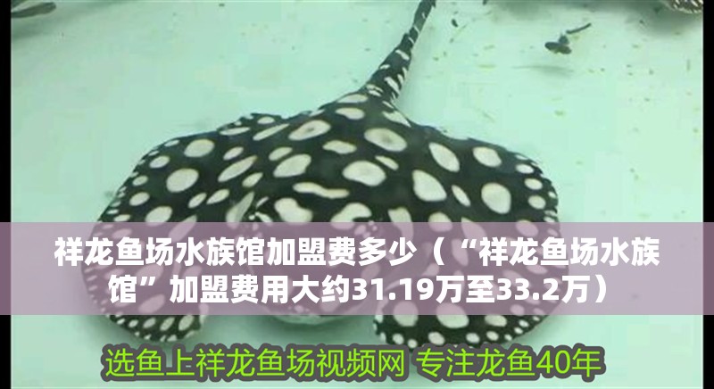 祥龍魚場水族館加盟費多少（“祥龍魚場水族館”加盟費用大約31.19萬至33.2萬） 祥龍魚場水族館加盟費多少（“祥龍魚場水族館”加盟費用大約31.19萬至33.2萬） 龍魚百科