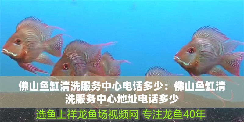 佛山魚缸清洗服務中心電話多少：佛山魚缸清洗服務中心地址電話多少