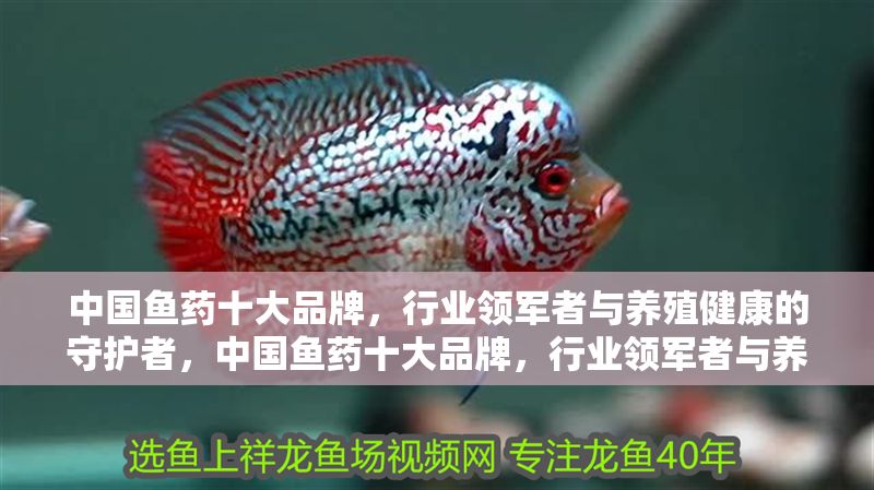 中國魚藥十大品牌，行業領軍者與養殖健康的守護者，中國魚藥十大品牌，行業領軍者與養殖健康的守護者 中國魚藥十大品牌，行業領軍者與養殖健康的守護者，中國魚藥十大品牌，行業領軍者與養殖健康的守護者 龍魚百科 第1張