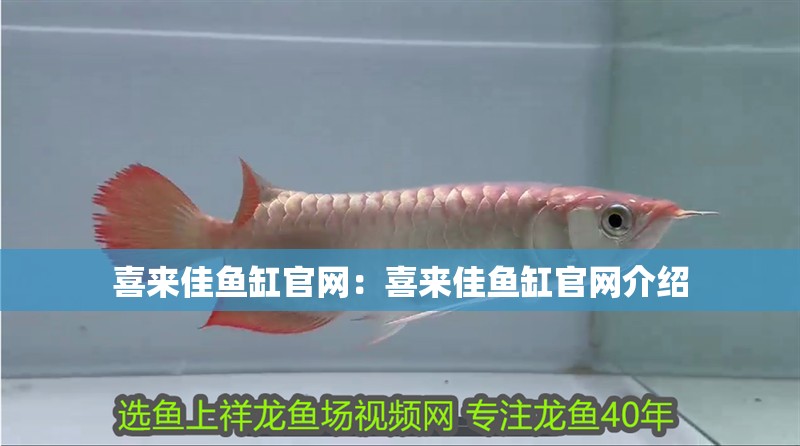 喜來佳魚缸官網(wǎng)：喜來佳魚缸官網(wǎng)介紹