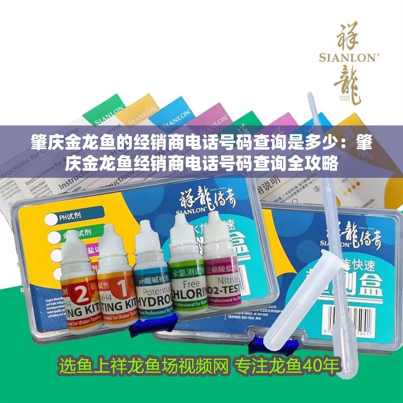 肇慶金龍魚的經銷商電話號碼查詢是多少：肇慶金龍魚經銷商電話號碼查詢全攻略