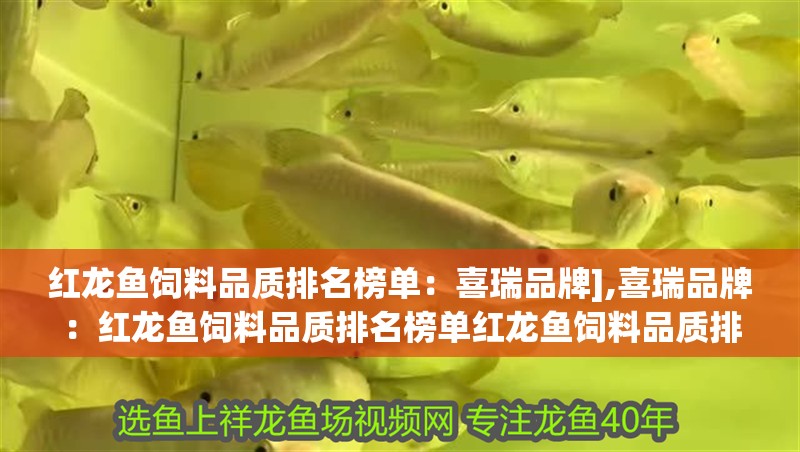紅龍魚飼料品質排名榜單：喜瑞品牌],喜瑞品牌：紅龍魚飼料品質排名榜單紅龍魚飼料品質排名榜單