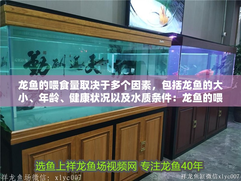 龍魚的喂食量取決于多個(gè)因素，包括龍魚的大小、年齡、健康狀況以及水質(zhì)條件：龍魚的喂食量取決于哪些因素