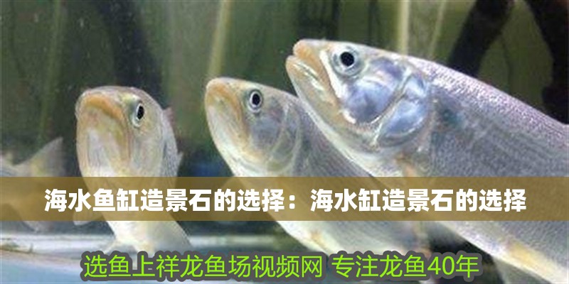 海水魚缸造景石的選擇：海水缸造景石的選擇