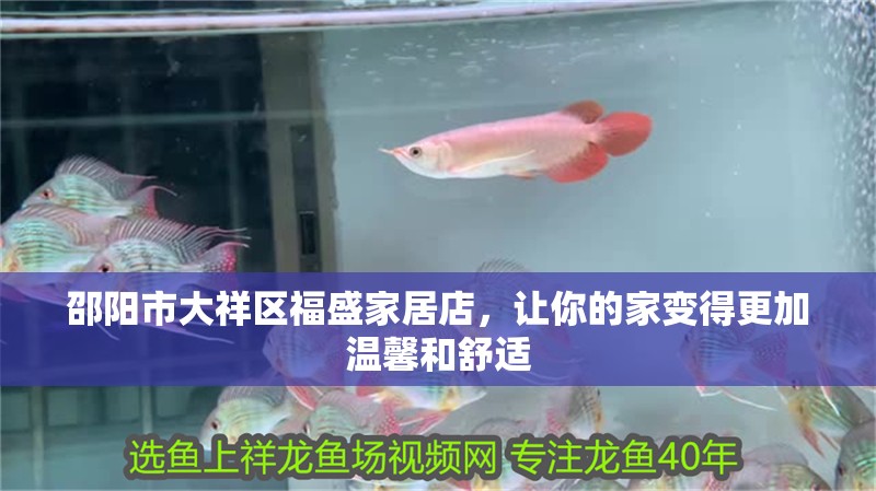 邵陽市<strong><mark>大祥</mark></strong>區福盛家居店，讓你的家變得更加溫馨和舒適