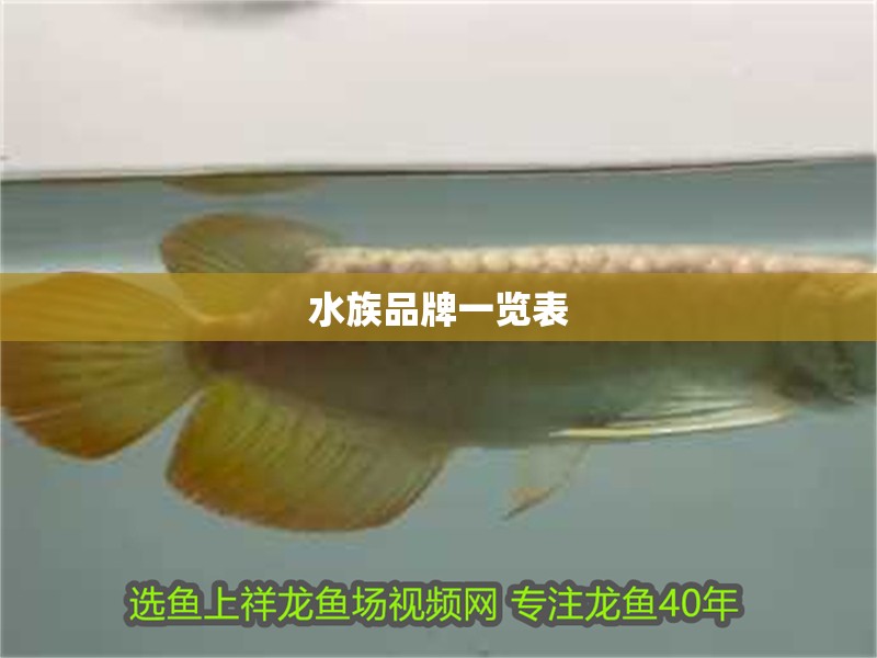 水族品牌一覽表