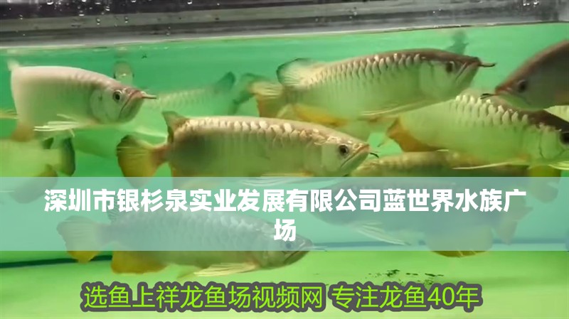 深圳市銀杉泉實業(yè)發(fā)展有限公司藍(lán)世界水族廣場