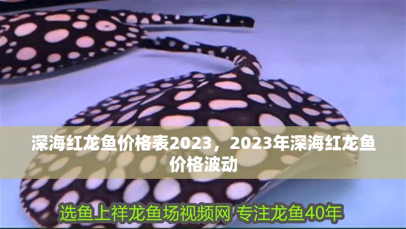 深海紅龍魚價格表2023，2023年深海紅龍魚價格波動 深海紅龍魚價格表2023，2023年深海紅龍魚價格波動 龍魚百科