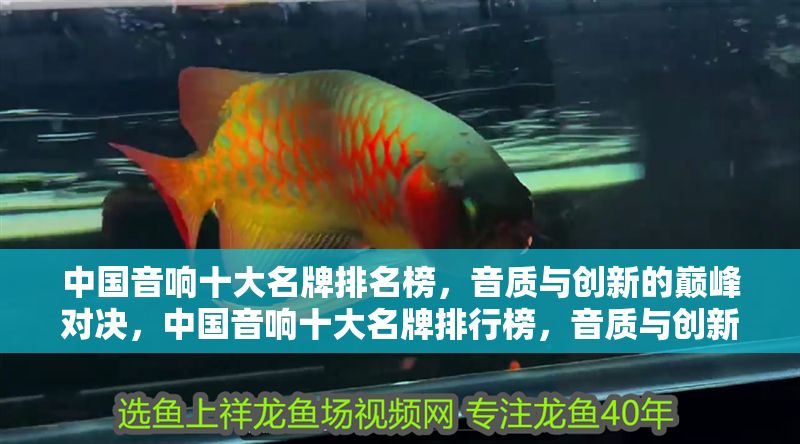 中國音響十大名牌排名榜，音質(zhì)與創(chuàng)新的巔峰對決，中國音響十大名牌排行榜，音質(zhì)與創(chuàng)新的巔峰對決 中國音響十大名牌排名榜，音質(zhì)與創(chuàng)新的巔峰對決，中國音響十大名牌排行榜，音質(zhì)與創(chuàng)新的巔峰對決 龍魚百科 第1張