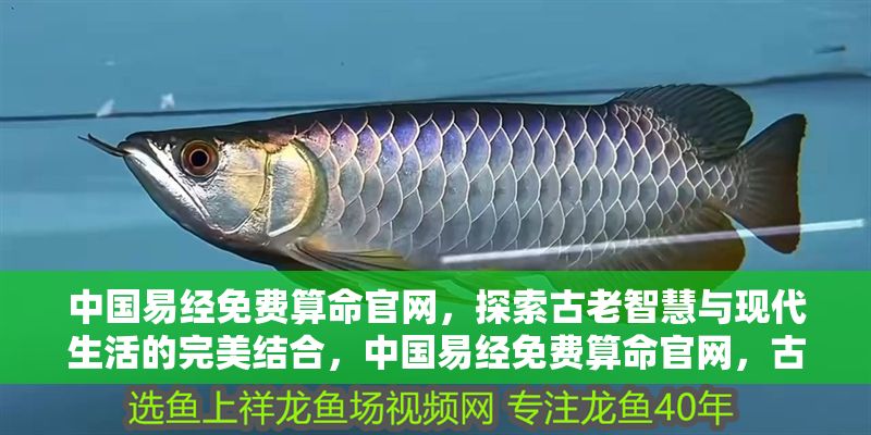中國(guó)易經(jīng)免費(fèi)算命官網(wǎng)，探索古老智慧與現(xiàn)代生活的完美結(jié)合，中國(guó)易經(jīng)免費(fèi)算命官網(wǎng)，古老智慧與現(xiàn)代生活的融合之道