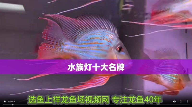 水族燈十<strong><mark>大名</mark></strong>牌