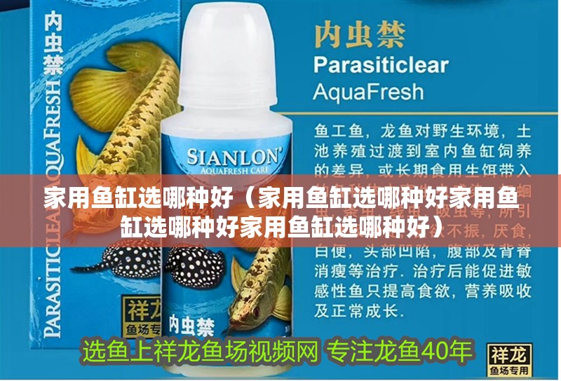 家用魚缸選哪種好（家用魚缸選哪種好家用魚缸選哪種好家用魚缸選哪種好） 家用魚缸選哪種好（家用魚缸選哪種好家用魚缸選哪種好家用魚缸選哪種好） 魚缸百科