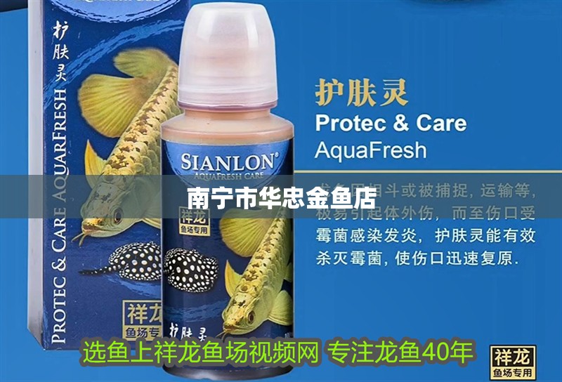 南寧市華忠金魚店