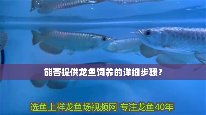 龍魚怕什么 能否提供龍魚飼養(yǎng)的詳細(xì)步驟? 龍魚論壇 能否提供龍魚飼養(yǎng)的詳細(xì)步驟? 能否提供龍魚飼養(yǎng)的詳細(xì)步驟? 龍魚論壇