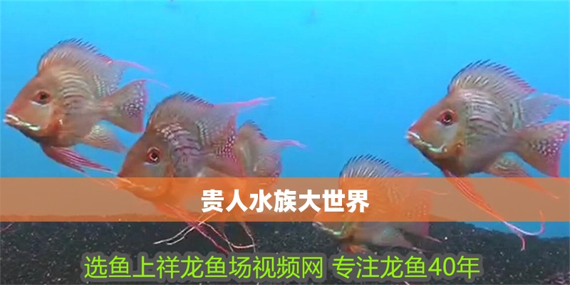 貴人水族大世界
