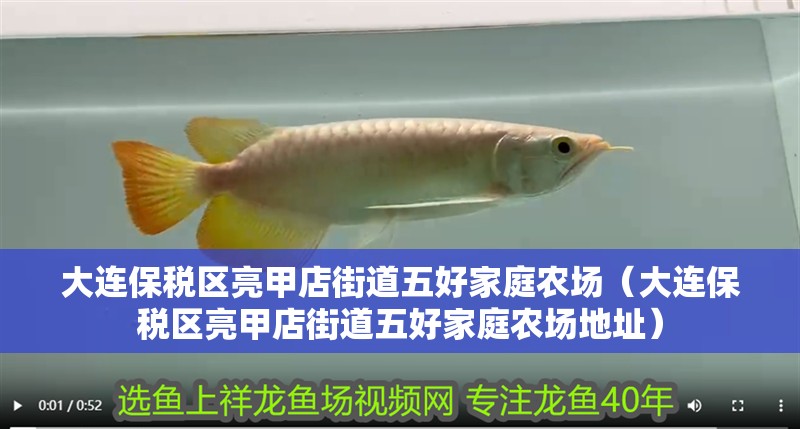 大連保稅區(qū)亮甲店街道五好家庭農(nóng)場(chǎng)（大連保稅區(qū)亮甲店街道五好家庭農(nóng)場(chǎng)地址）