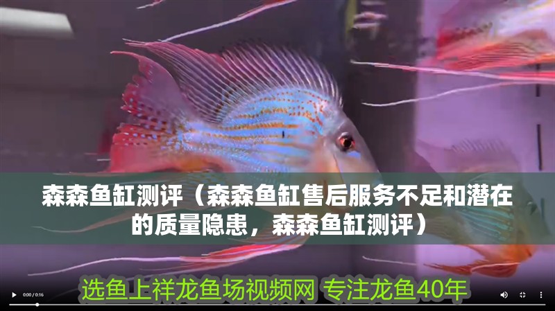 森森魚缸測評（森森魚缸售后服務不足和潛在的質量隱患，森森魚缸測評）