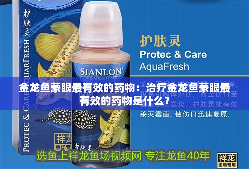 金龍魚蒙眼最有效的藥物：治療金龍魚蒙眼最有效的藥物是什么？ 金龍魚蒙眼最有效的藥物：治療金龍魚蒙眼最有效的藥物是什么？ 龍魚百科