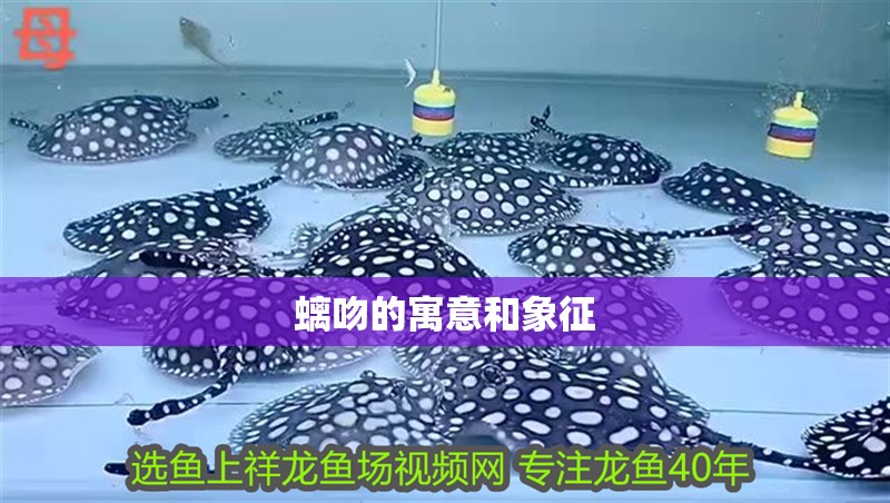 螭吻的寓意和象征 螭吻的寓意和象征 龍魚論壇