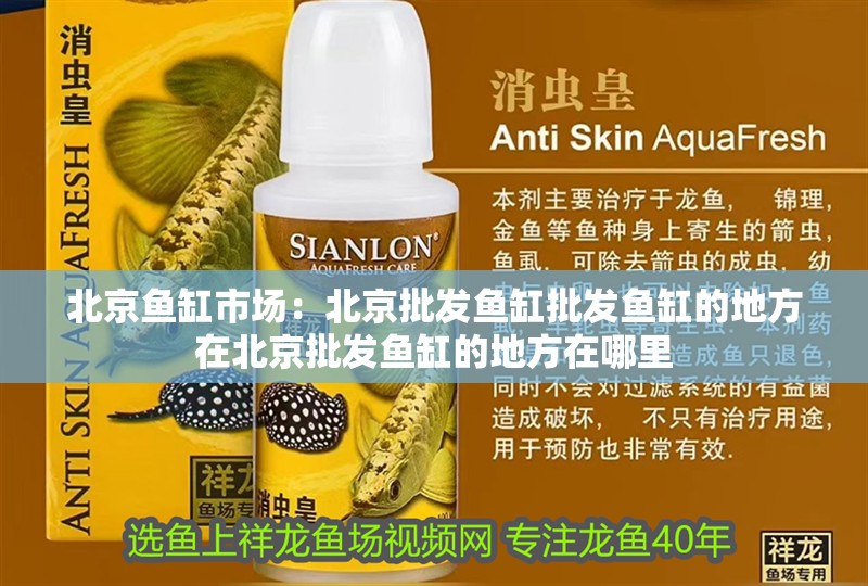 <strong><mark>北京</mark></strong>魚缸市場：<strong><mark>北京</mark></strong>批發(fā)魚缸批發(fā)魚缸的地方在<strong><mark>北京</mark></strong>批發(fā)魚缸的地方在哪里