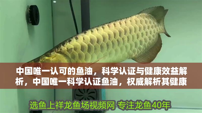 中國唯一認可的魚油，科學認證與健康效益解析，中國唯一科學認證魚油，權威解析其健康功效與選擇標準