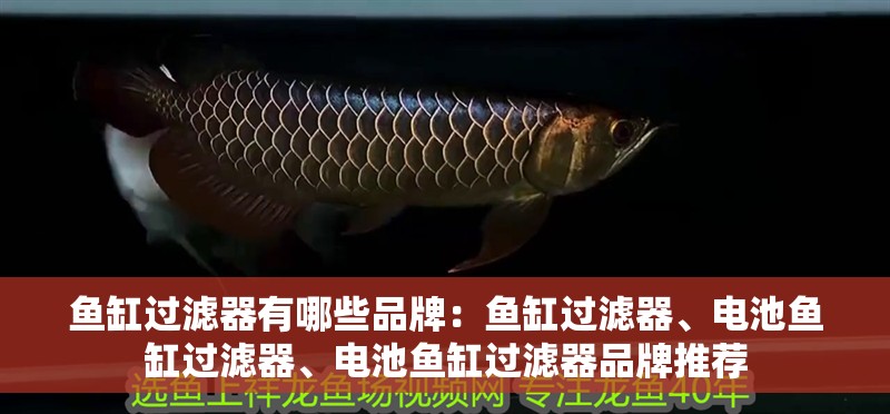 魚缸過濾器有哪些品牌：魚缸過濾器、電池魚缸過濾器、電池魚缸過濾器品牌推薦