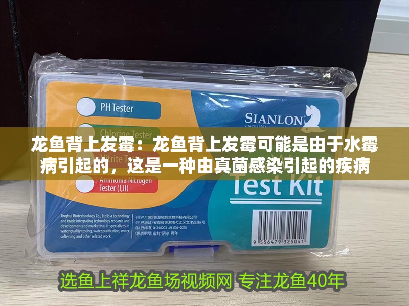 龍魚背上發霉：龍魚背上發霉可能是由于水霉病引起的，這是一種由真菌感染引起的疾病