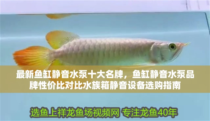 最新魚(yú)缸靜音水泵十大名牌，魚(yú)缸靜音水泵品牌性價(jià)比對(duì)比水族箱靜音設(shè)備選購(gòu)指南