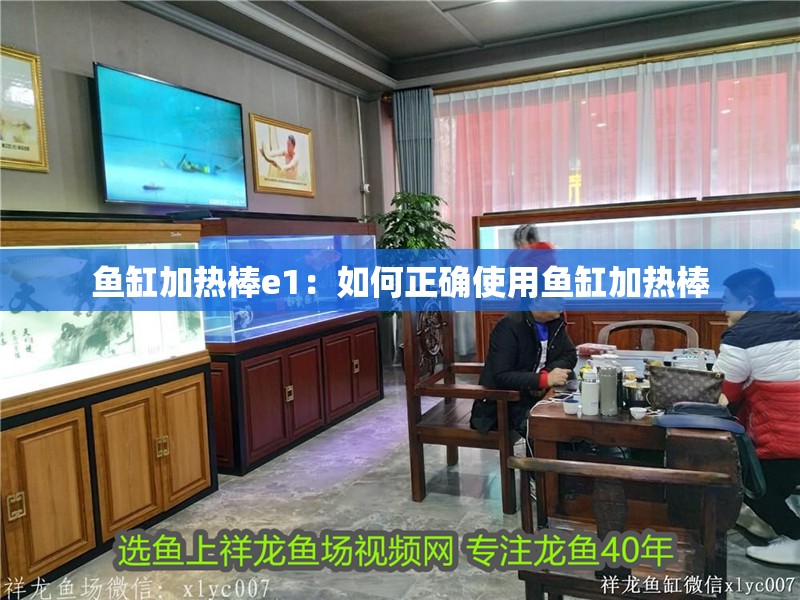 魚缸加熱棒e1：如何正確使用魚缸加熱棒