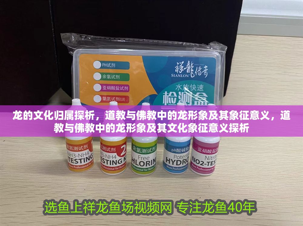 詳細閱讀:龍的文化歸屬探析,道教與佛教中的龍形象及其象征意義,道教與佛教中的龍形象及其文化象征意義探析 龍的文化歸屬探析,道教與佛教中的龍形象及其象征意義,道教與佛教中的龍形象及其文化象征意義探析