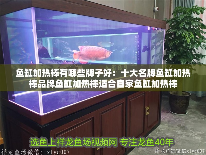 魚缸加熱棒有哪些牌子好：十大名牌魚缸加熱棒品牌魚缸加熱棒適合自家魚缸加熱棒