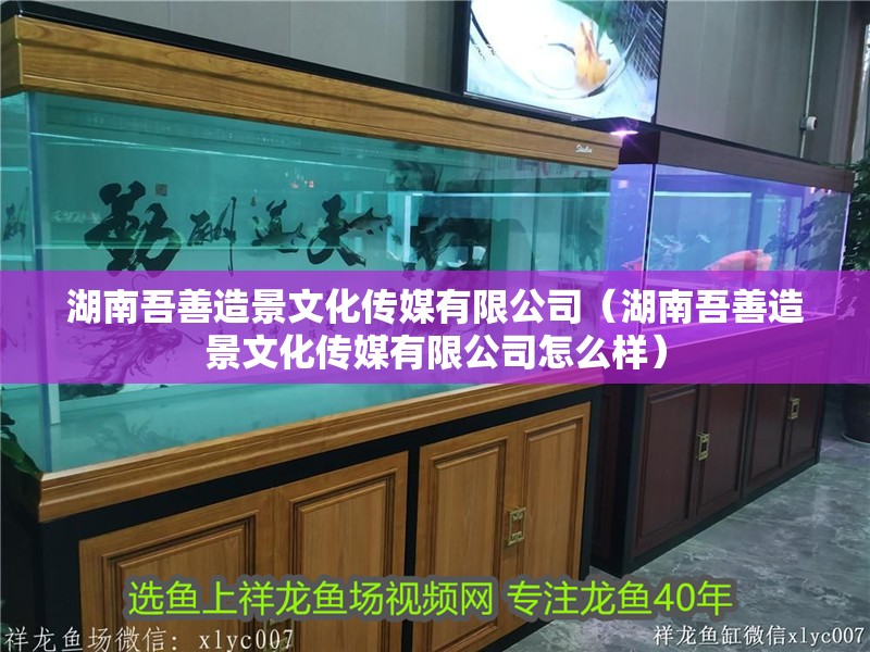 湖南吾善造景文化傳媒有限公司（湖南吾善造景文化傳媒有限公司怎么樣）