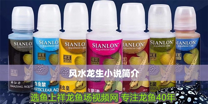 風水龍生小說簡介
