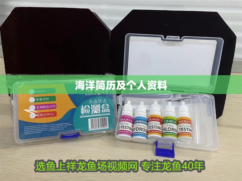 海洋簡歷及個人資料