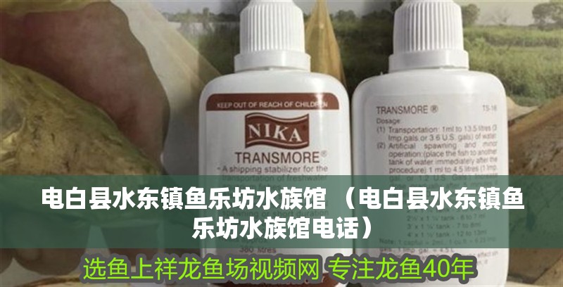 電白縣水東鎮魚樂坊水族館 （電白縣水東鎮魚樂坊水族館電話）