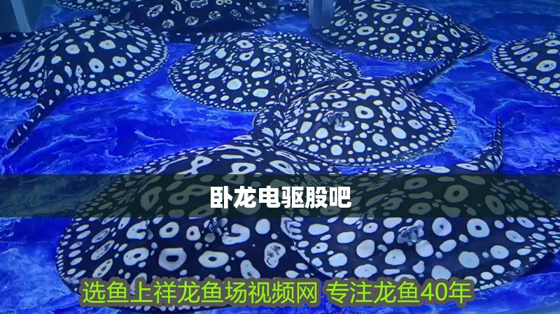 臥龍電驅股吧