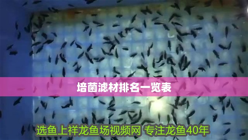 培菌濾材排名一覽表 培菌濾材排名一覽表 龍魚論壇
