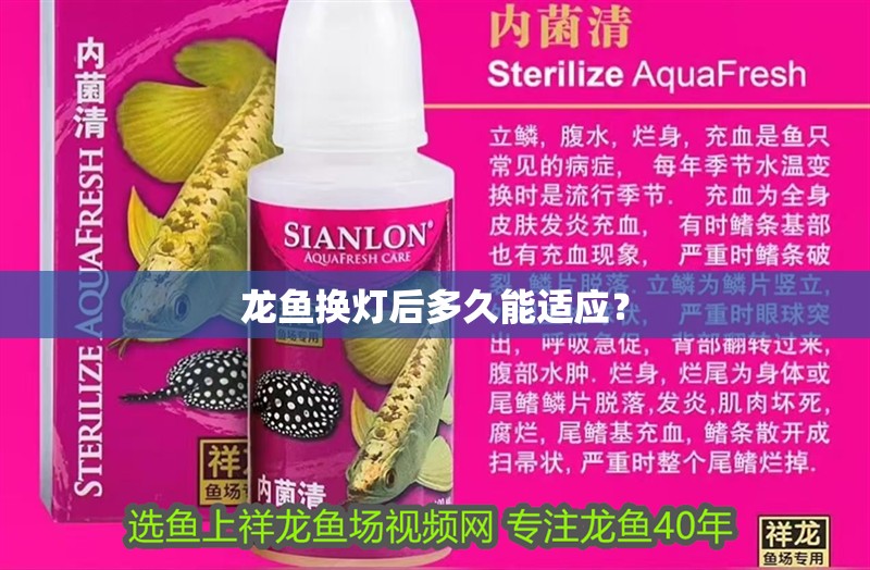 龍魚換燈后多久能適應？