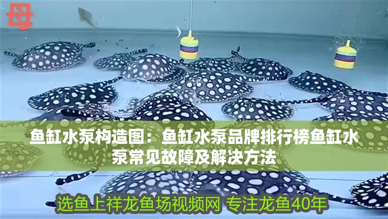 魚缸水泵構造圖：魚缸水泵品牌排行榜魚缸水泵常見故障及解決方法