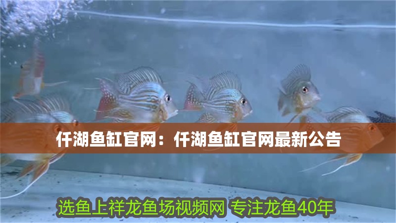 仟湖魚缸官網：仟湖魚缸官網最新公告