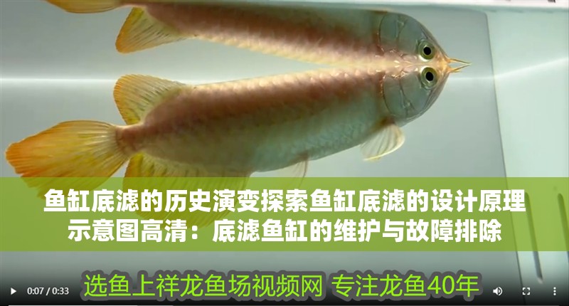 魚缸底濾的歷史演變探索魚缸底濾的設(shè)計(jì)原理示意圖高清：底濾魚缸的維護(hù)與故障排除 魚缸底濾的歷史演變探索魚缸底濾的設(shè)計(jì)原理示意圖高清：底濾魚缸的維護(hù)與故障排除 魚缸百科