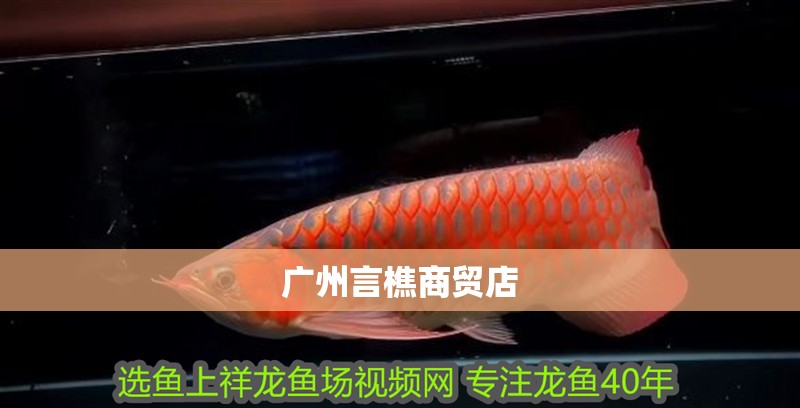 虎魚天天黑來點赤瞳黃金 廣州言樵商貿店 全國水族館企業名錄 廣州言樵商貿店 廣州言樵商貿店 全國水族館企業名錄